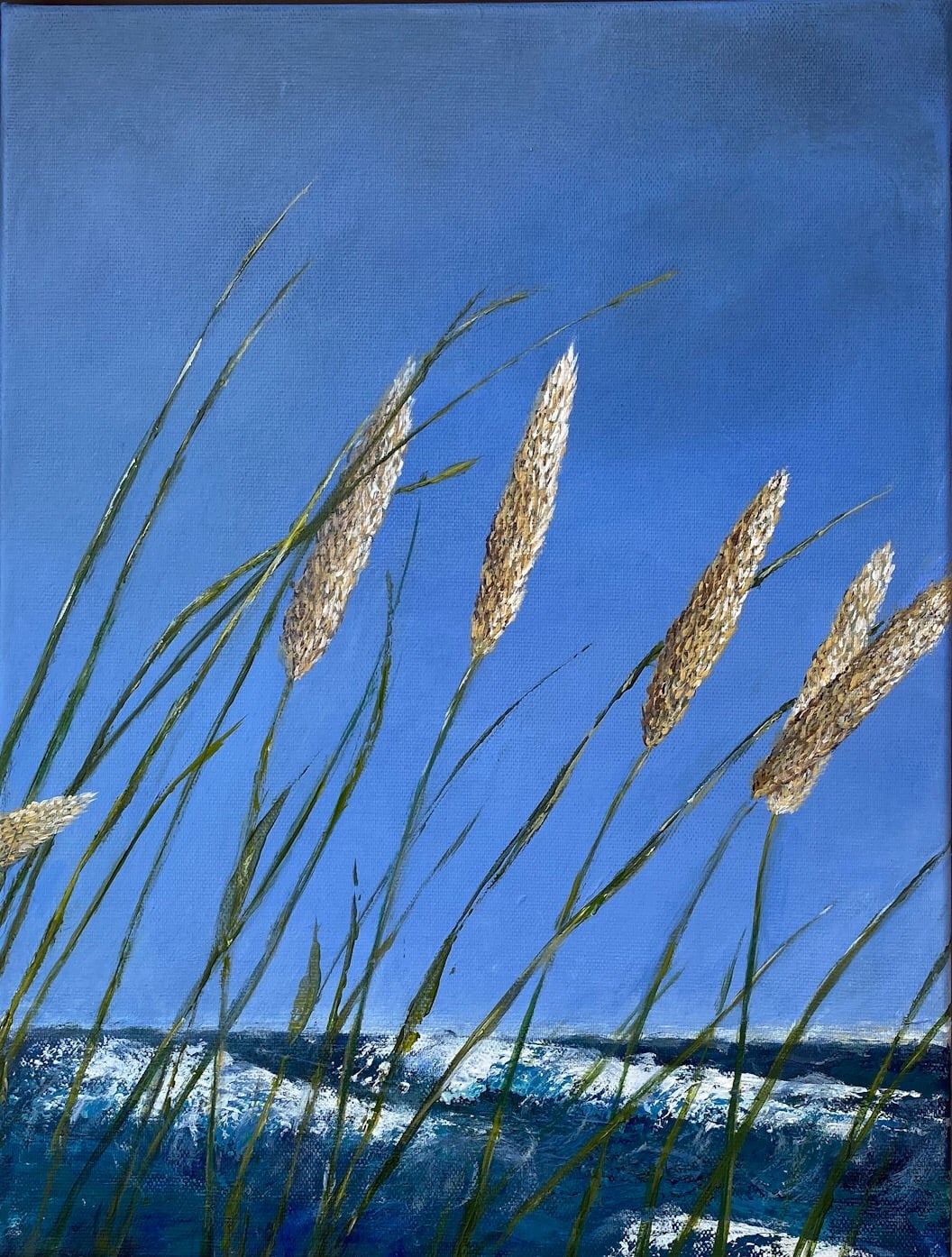 Strandgræs, 30 x 40, 1.500 kr